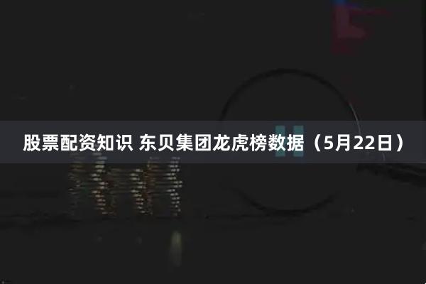 股票配资知识 东贝集团龙虎榜数据（5月22日）