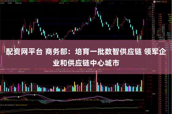 配资网平台 商务部：培育一批数智供应链 领军企业和供应链中心城市