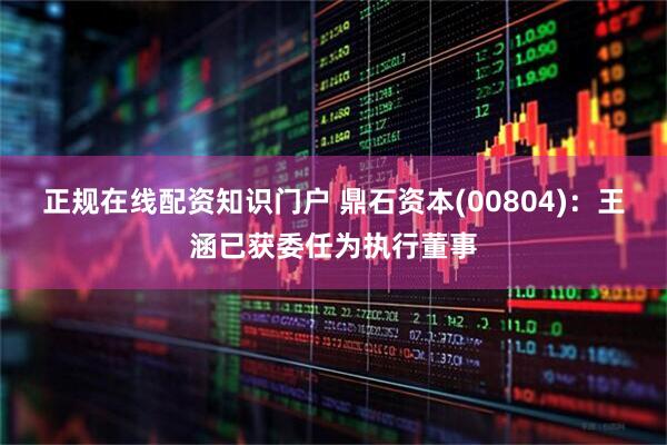 正规在线配资知识门户 鼎石资本(00804)：王涵已获委任为执行董事