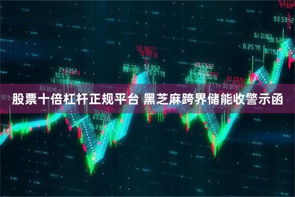 股票十倍杠杆正规平台 黑芝麻跨界储能收警示函