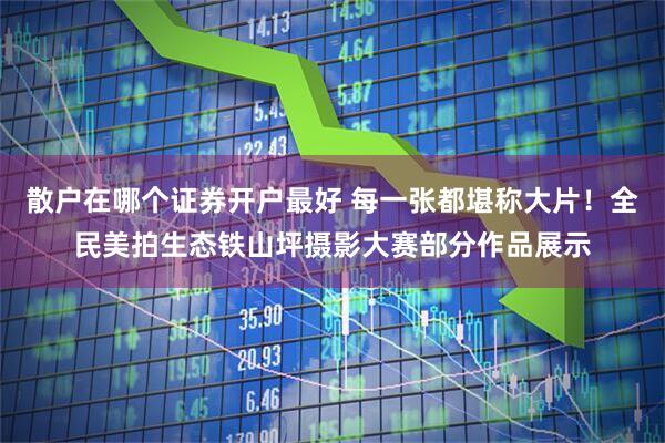散户在哪个证券开户最好 每一张都堪称大片！全民美拍生态铁山坪摄影大赛部分作品展示
